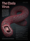 Lãnh thổ tiếp theo của Ebola